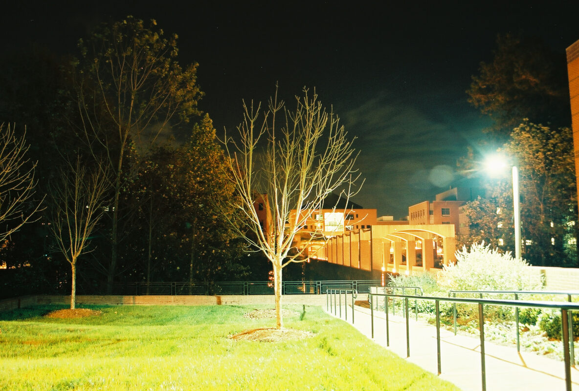 Nighttime view of leafless trees and grass. In the background to the right is a brick pathway on NC State's Centennial Campus.