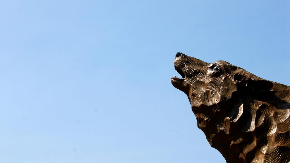 wolf statue