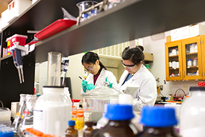 Researchers work in environmental engineering lab.