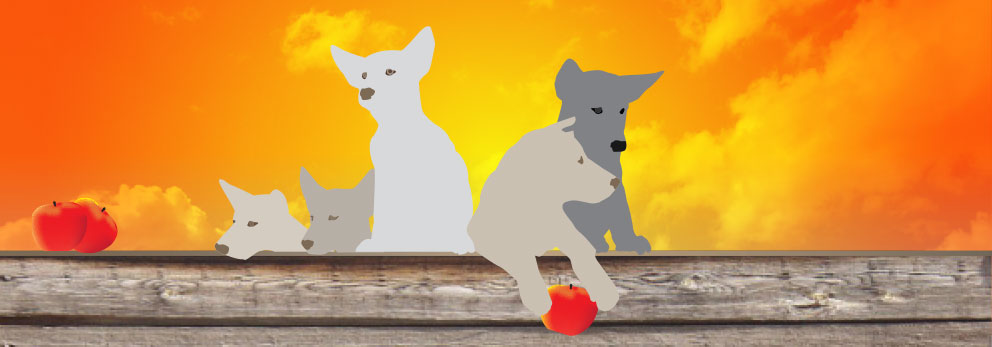Graphic: wolves