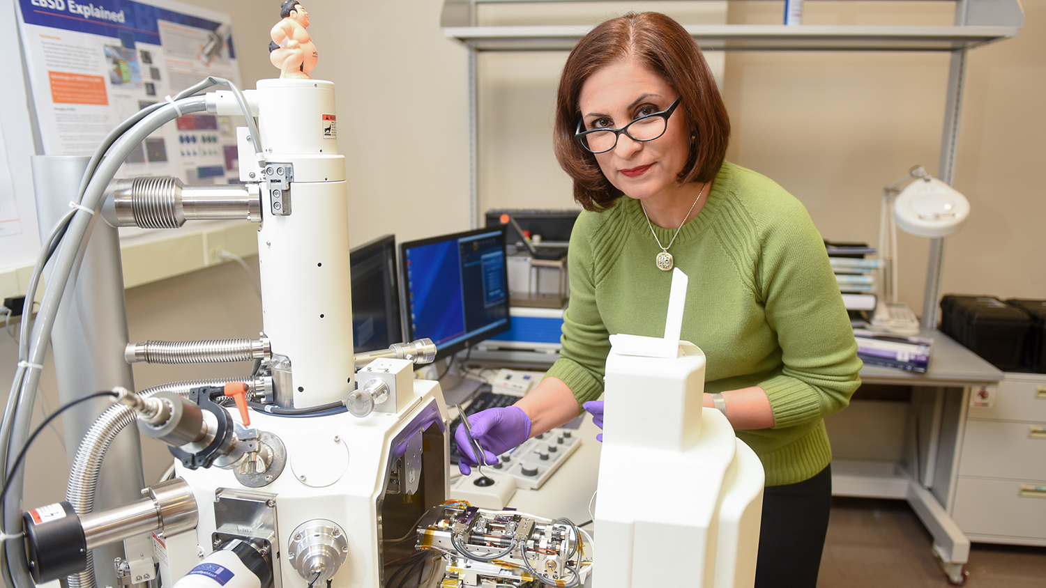 Dr. Afsaneh Rabiei in the lab