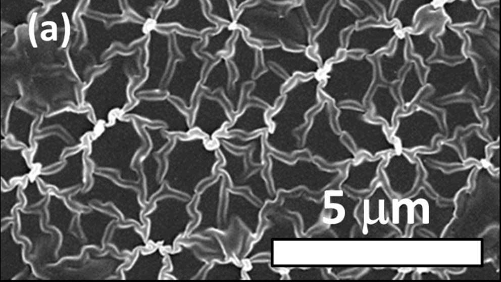 High-resolution SEM shows microstructure of boron-doped Q-carbon. Image courtesy of Jay Narayan.
