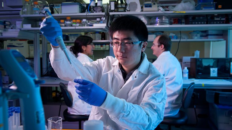 Biomedical engineering students work in Dr. Elizabeth Loboa's lab on Centennial Campus. Photo by Marc Hall, 2013