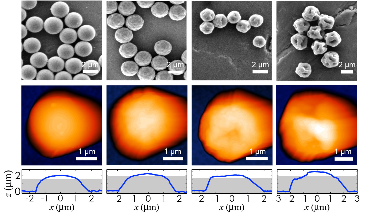 microparticals