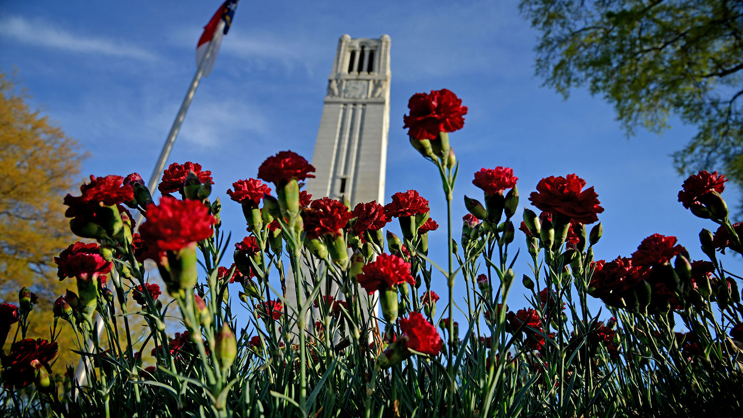 Memorial Bell Tower and spring flowers