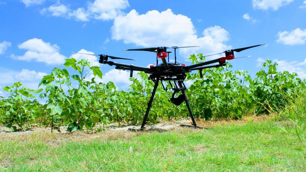 drone