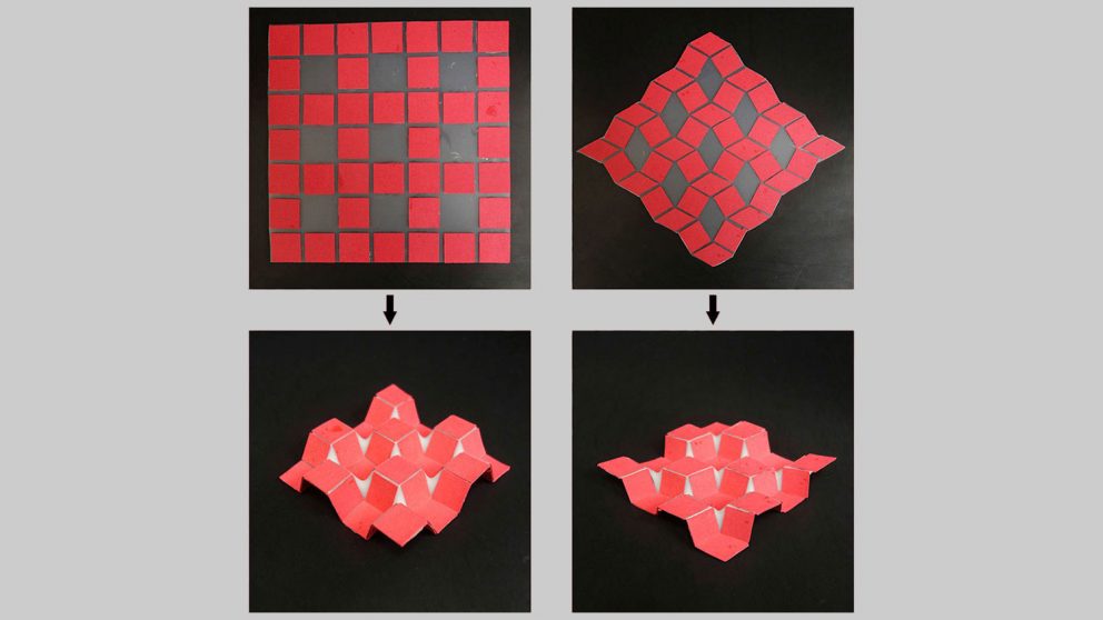 The two-dimensional shapes shown at the top of the image fold themselves into the three-dimensional structures shown on the bottom.