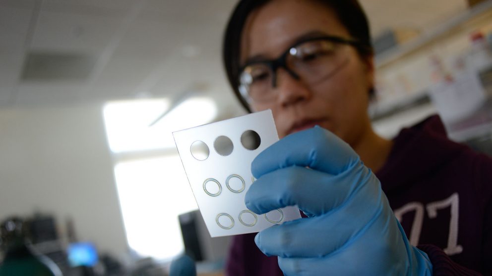Student works in Dr. Dickey's lab.