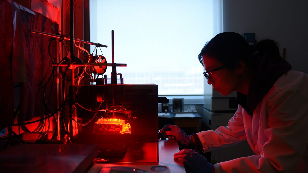 Student works in the lab of Dr. Michael Dickey. (Photo by Marc Hall)