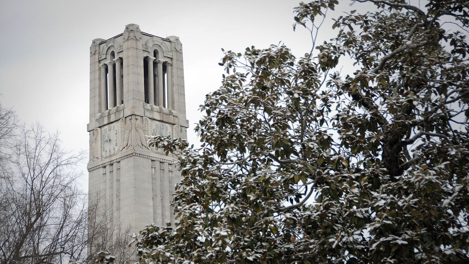 Memorial Belltower and magnolia on a snowy Feb. day.