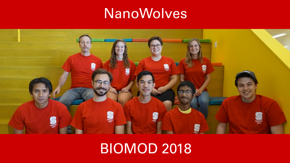 NanoWolves, Biomod 2018