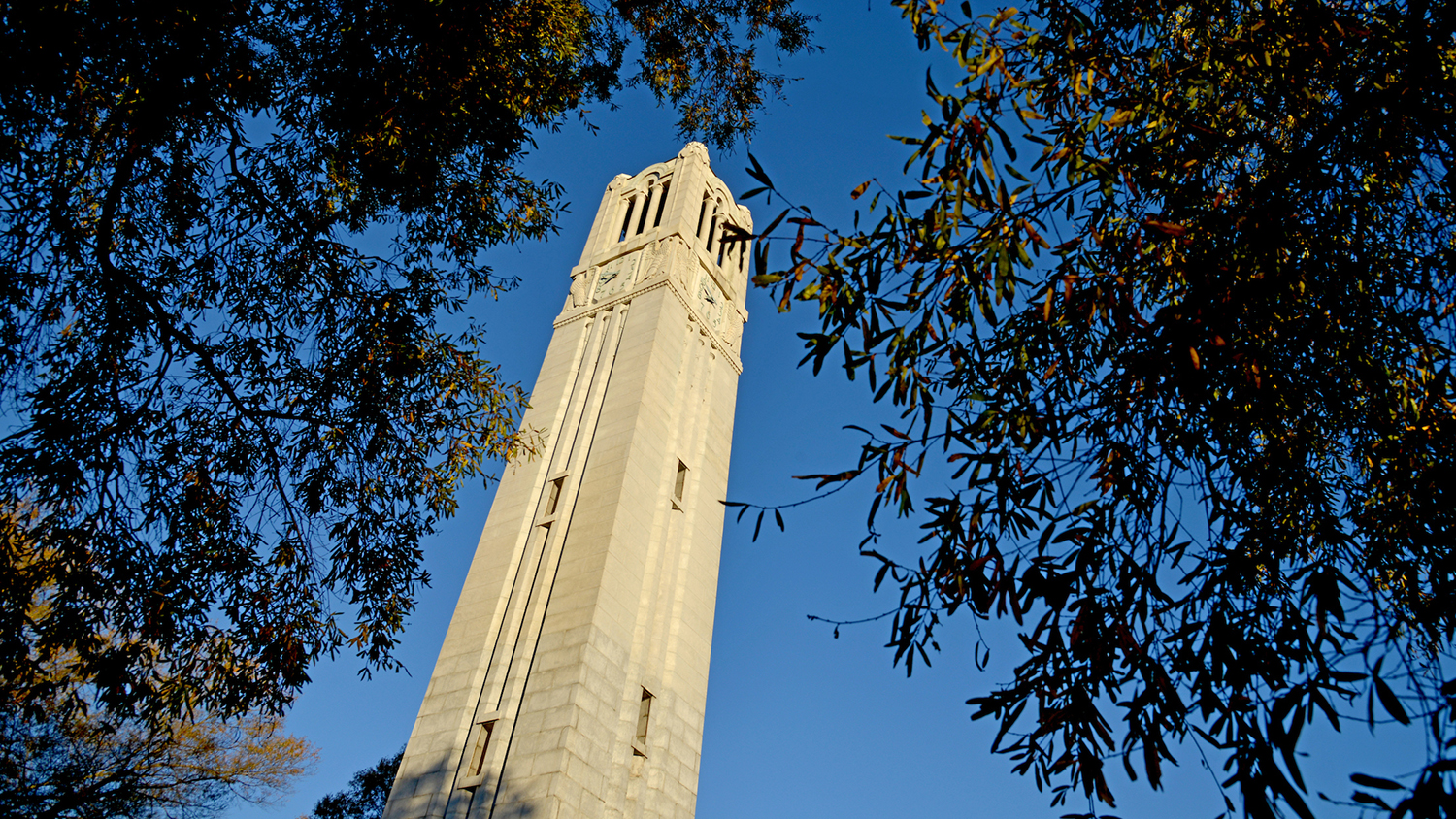 Early morning sun cuts across the Memorial Belltower and Fall colors.