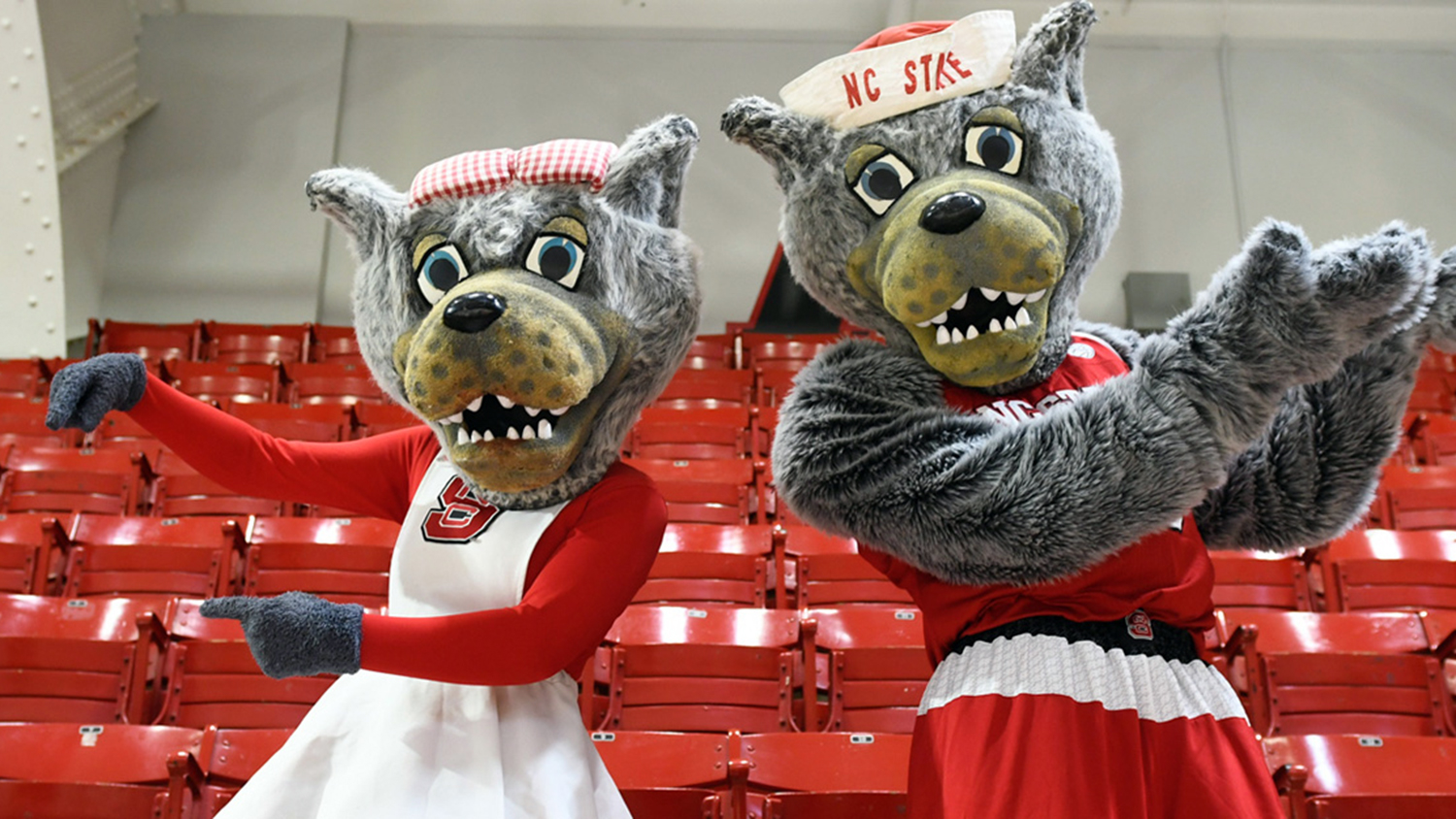 Mr and Ms Wuf in Reynolds Coliseum.