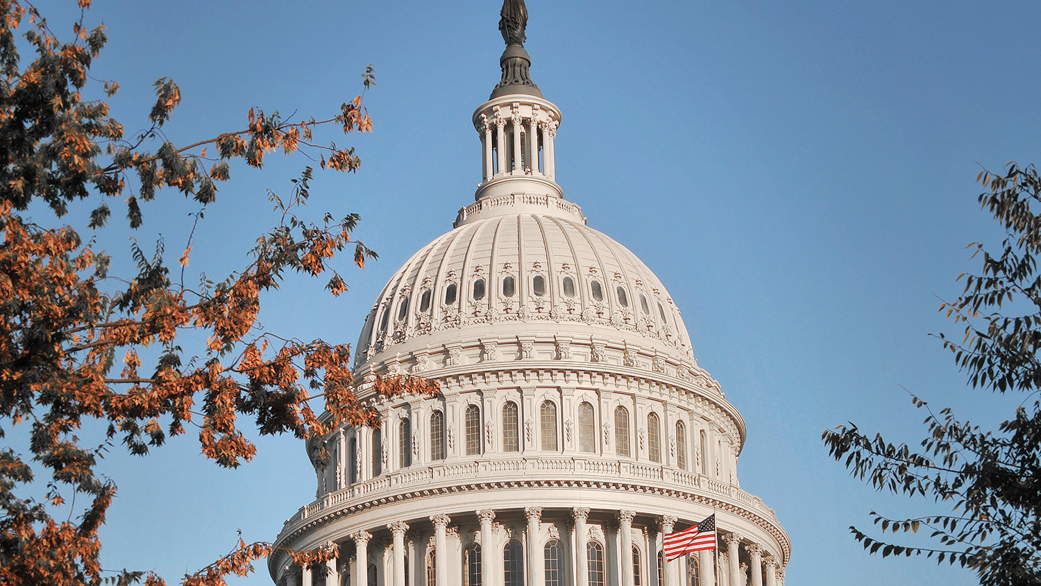 Dome of United States Capitol