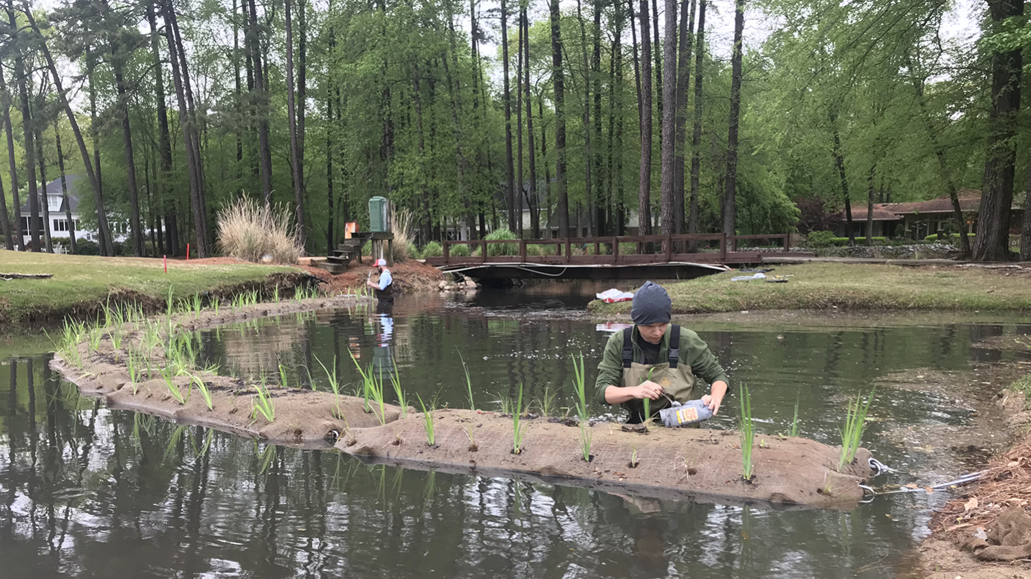 Two students working in a water body (lake or pond), where they are building floating wetlands.