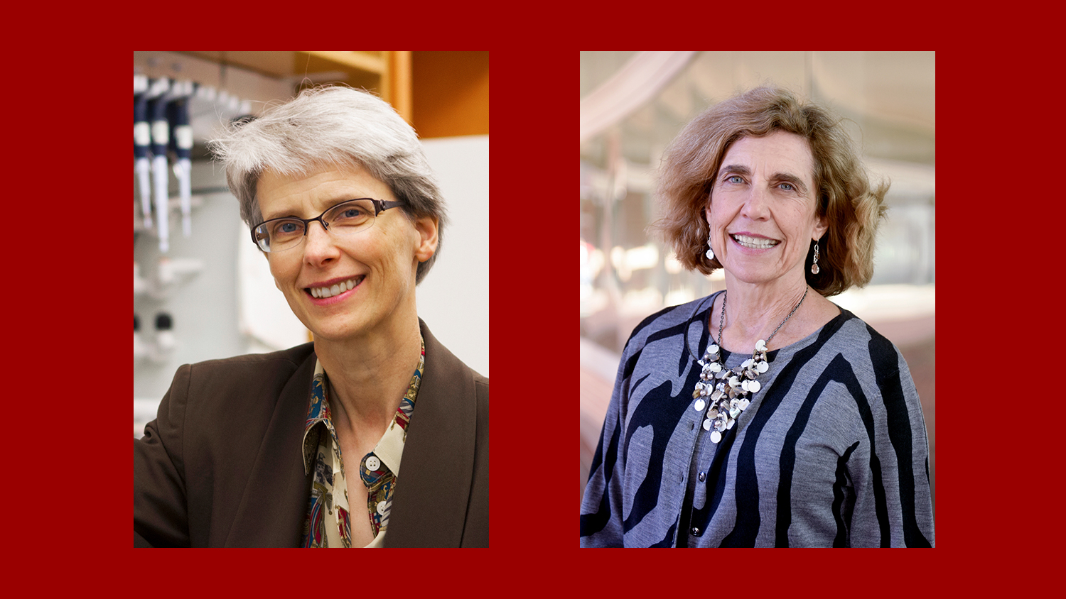 Kenan Distinguished Professor Nancy Allbritton and Lampe Distinguished Professor Frances Ligler