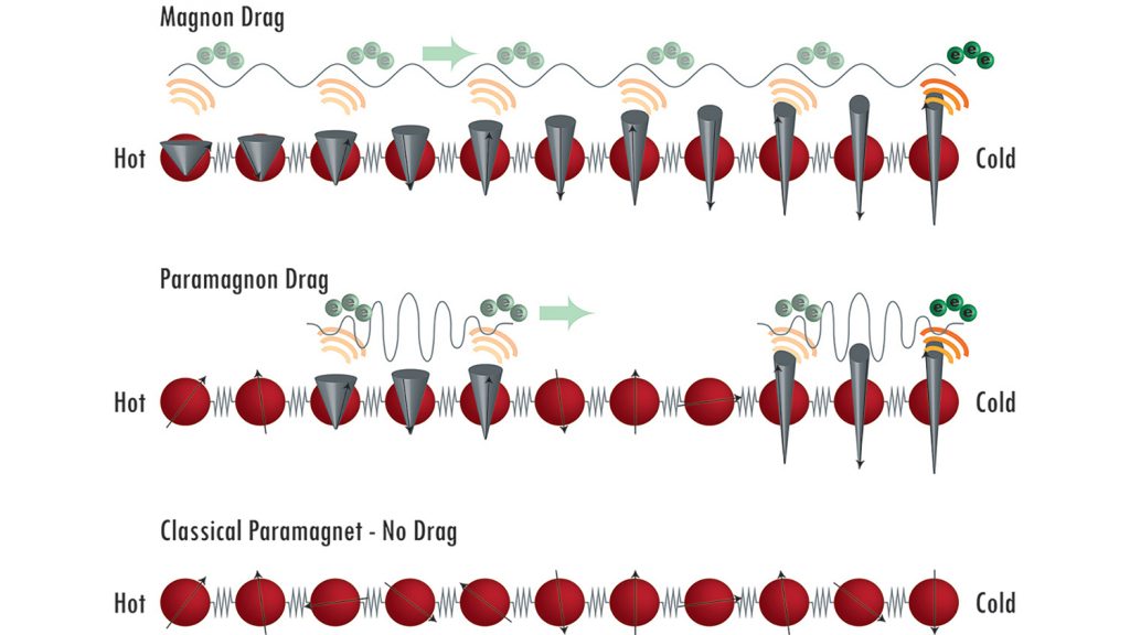 Showing magnon versus paramagnon drag