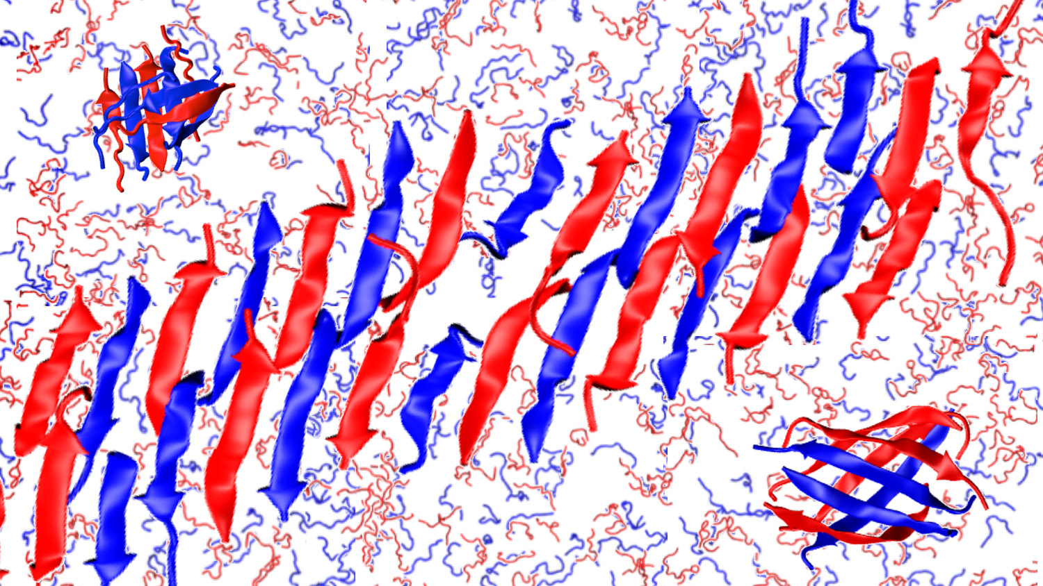 alternating rows of peptides