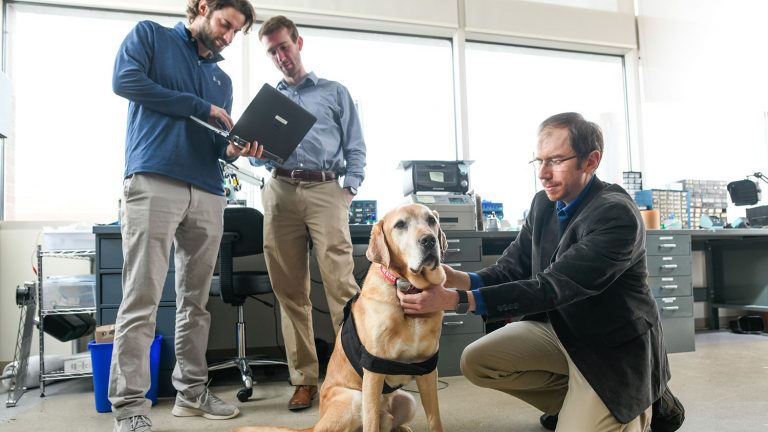 Research on dog collars and vests embedded with microscale sensors continue in the lab of Alper Bozkurt on Centennial Campus. Photo by Marc Hall