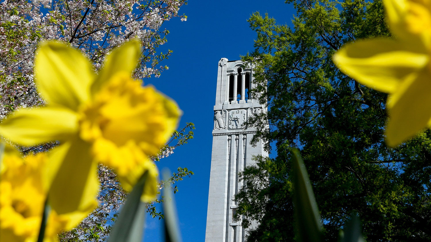 belltower-in-spring