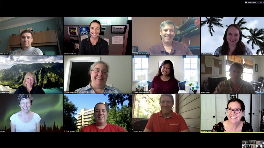 The first virtual meeting of the Online Course Improvement Program held Aug. 25, 2020.