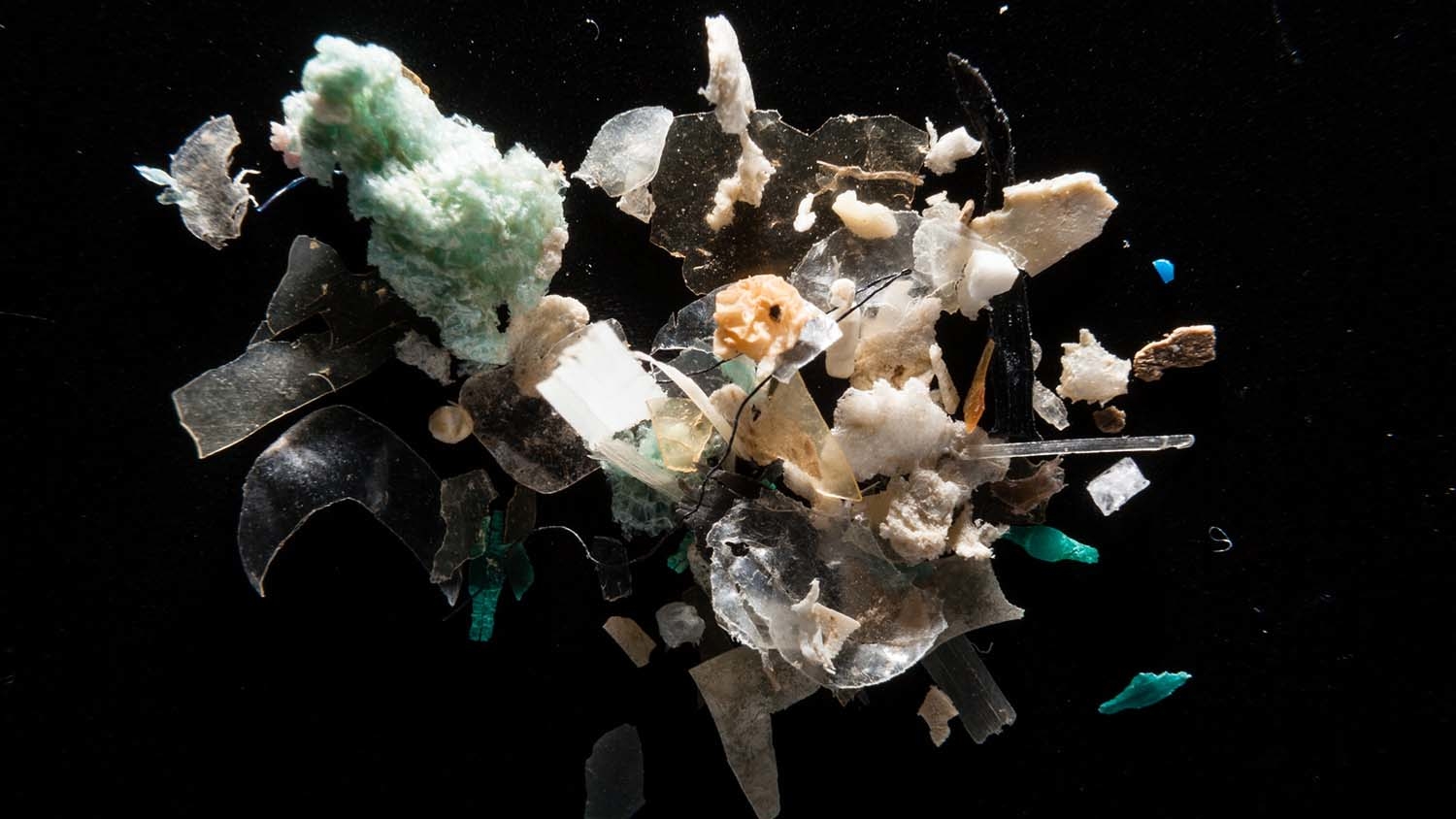 collection of microplastic trash