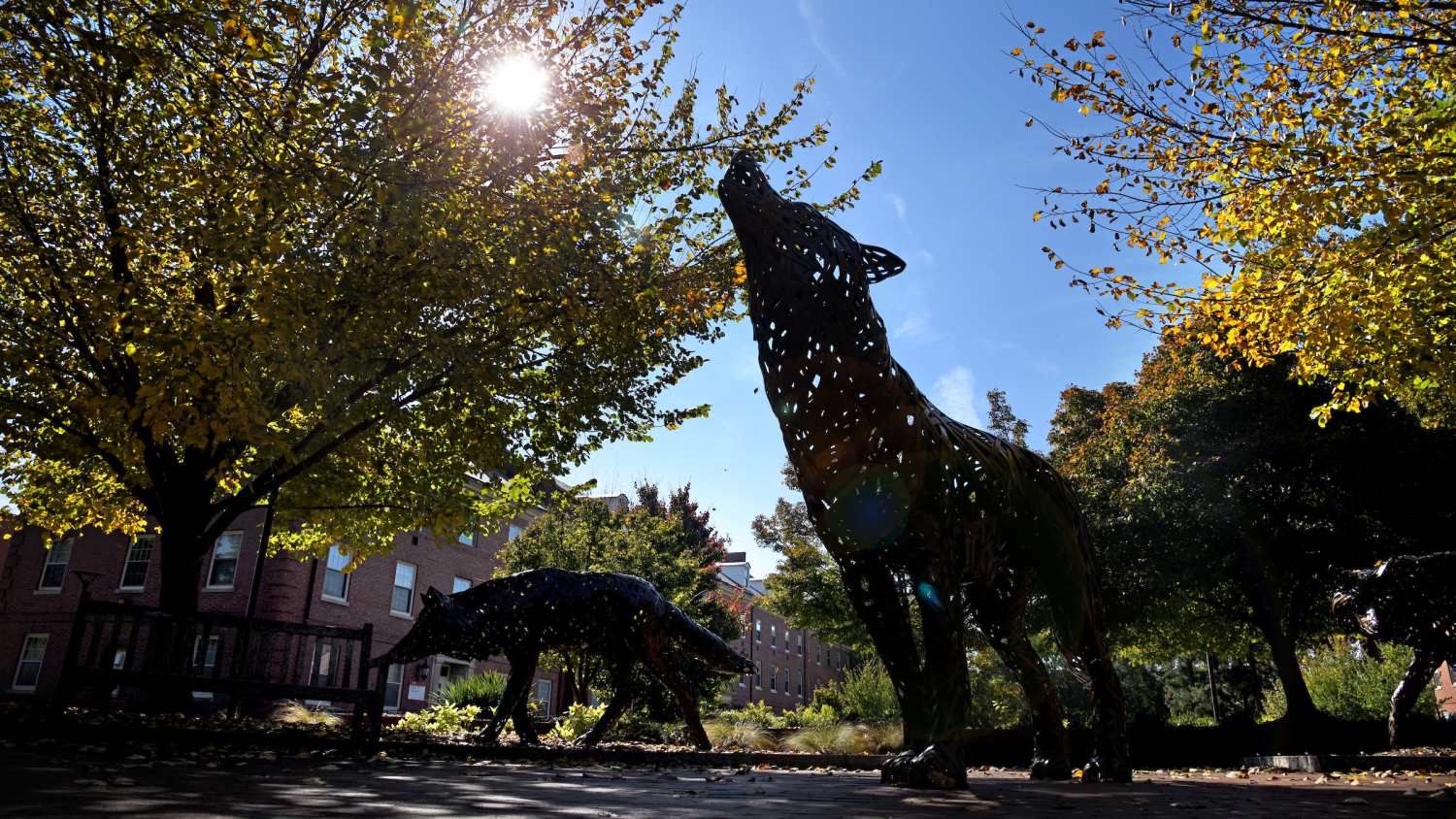 Howling wolf statues on campus