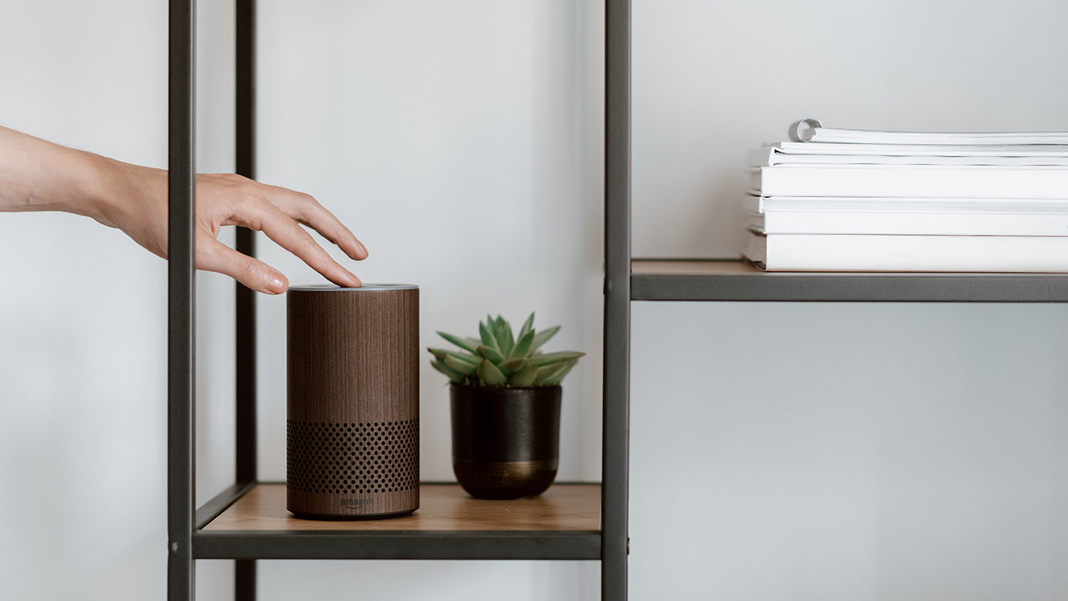 hand touching an Amazon Alexa