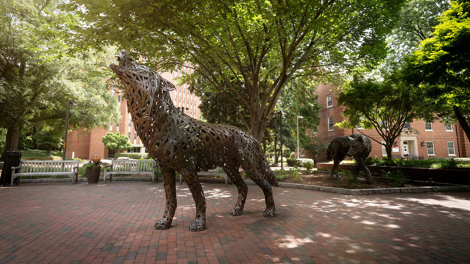 The copper wolves at Wolf Plaza near Talley student union.