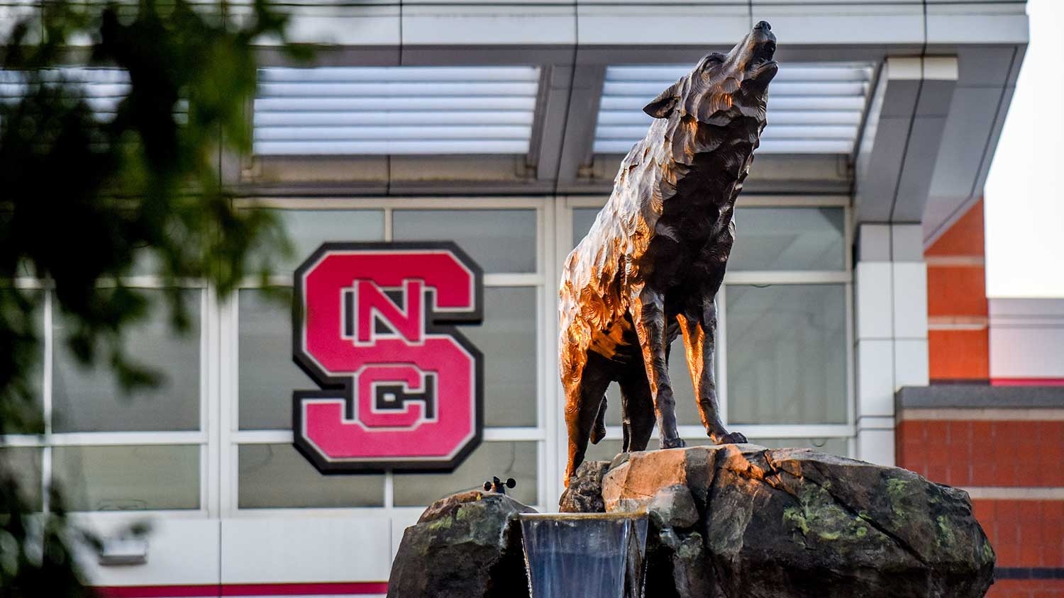 The wolf statue in front of Carter-Finley.