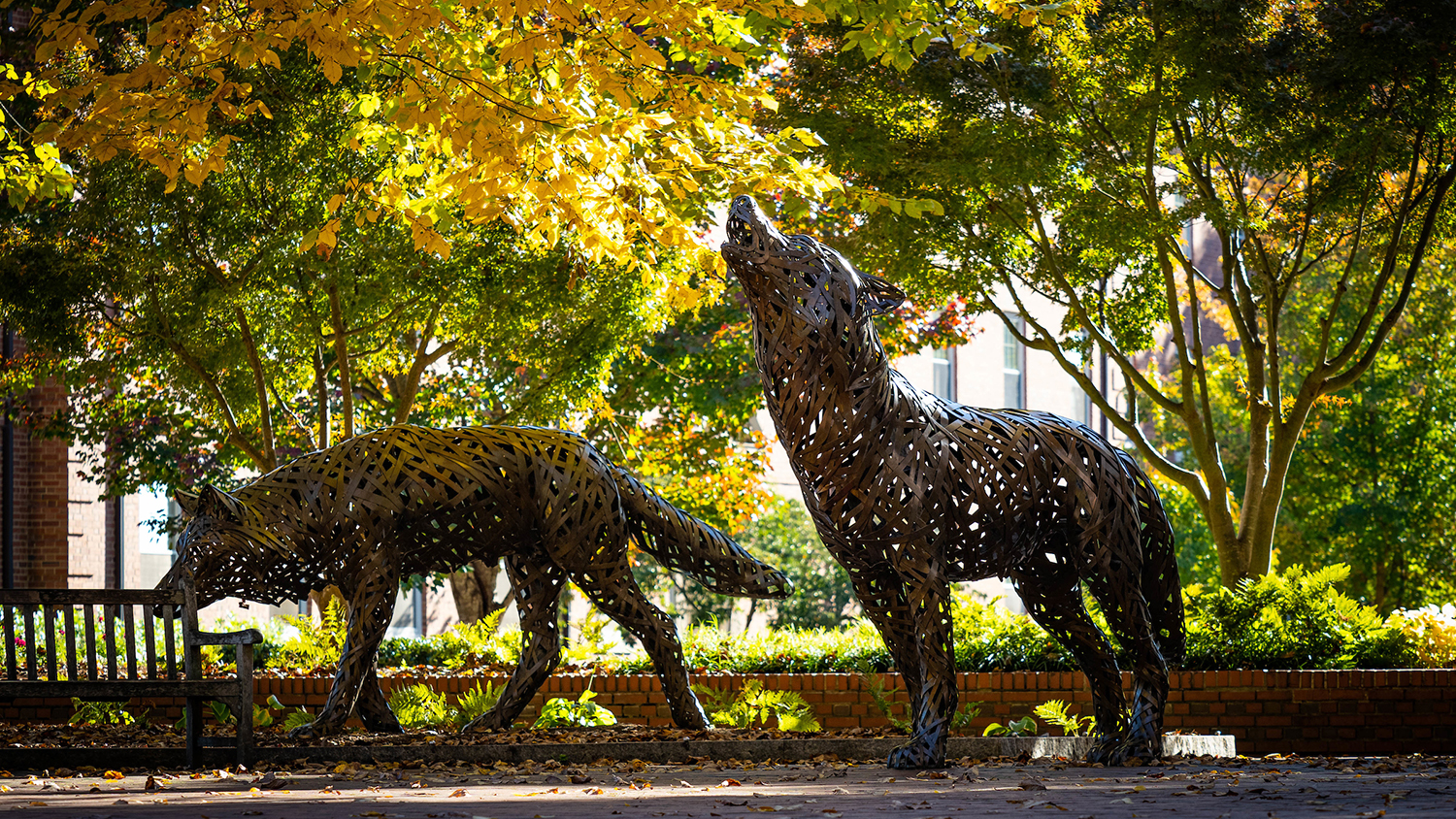 Wolf Plaza during fall. Two bronze sculptures of wolves, one head down, the other howling.