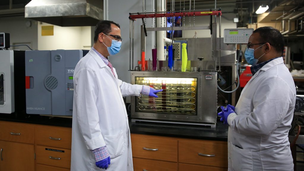 Dr. El-Shafei (left) and researcher conversing in lab setting.
