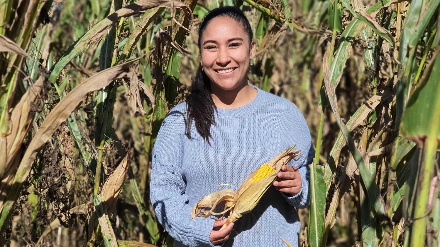 Daniela Jones in cornfield holding an ear of corn.