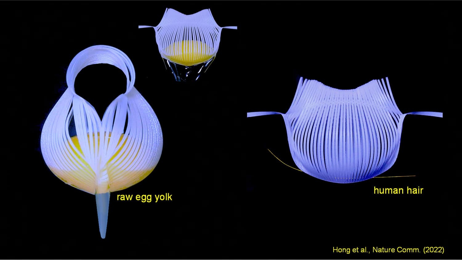 three separate images show a gripping device holding an egg yolk