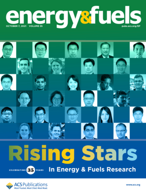 Cover of issue of Energy and Fuels journal.