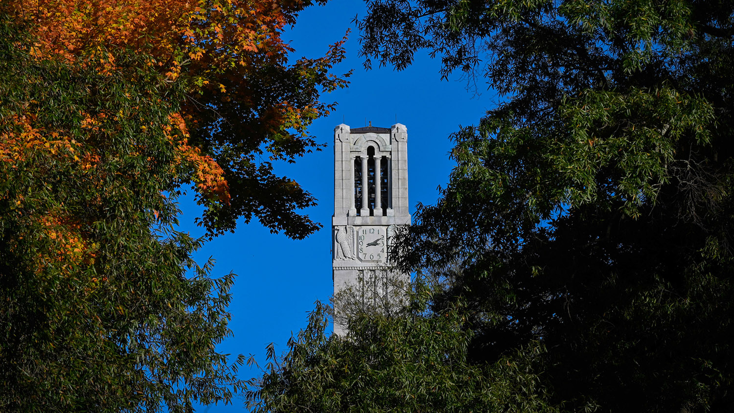 In this photo, the top of the Belltower is framed by fall foliage.