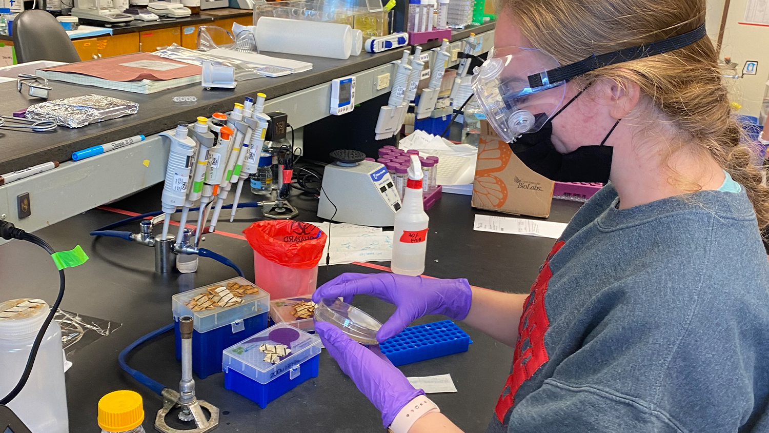 Katie Traynelis in goggles and mask works in the lab.