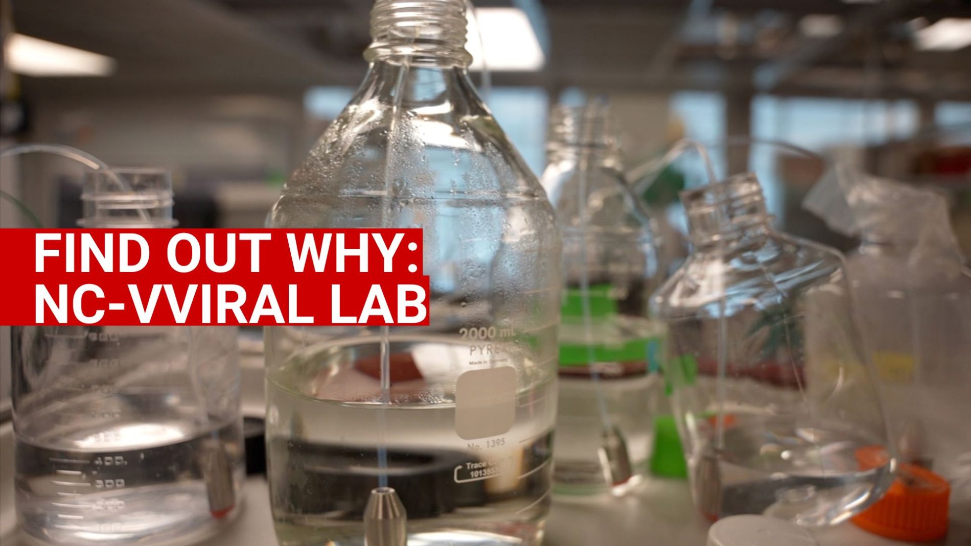 VVIRAL lab header image showing a closeup image of beakers and clear glass laboratory containers.
