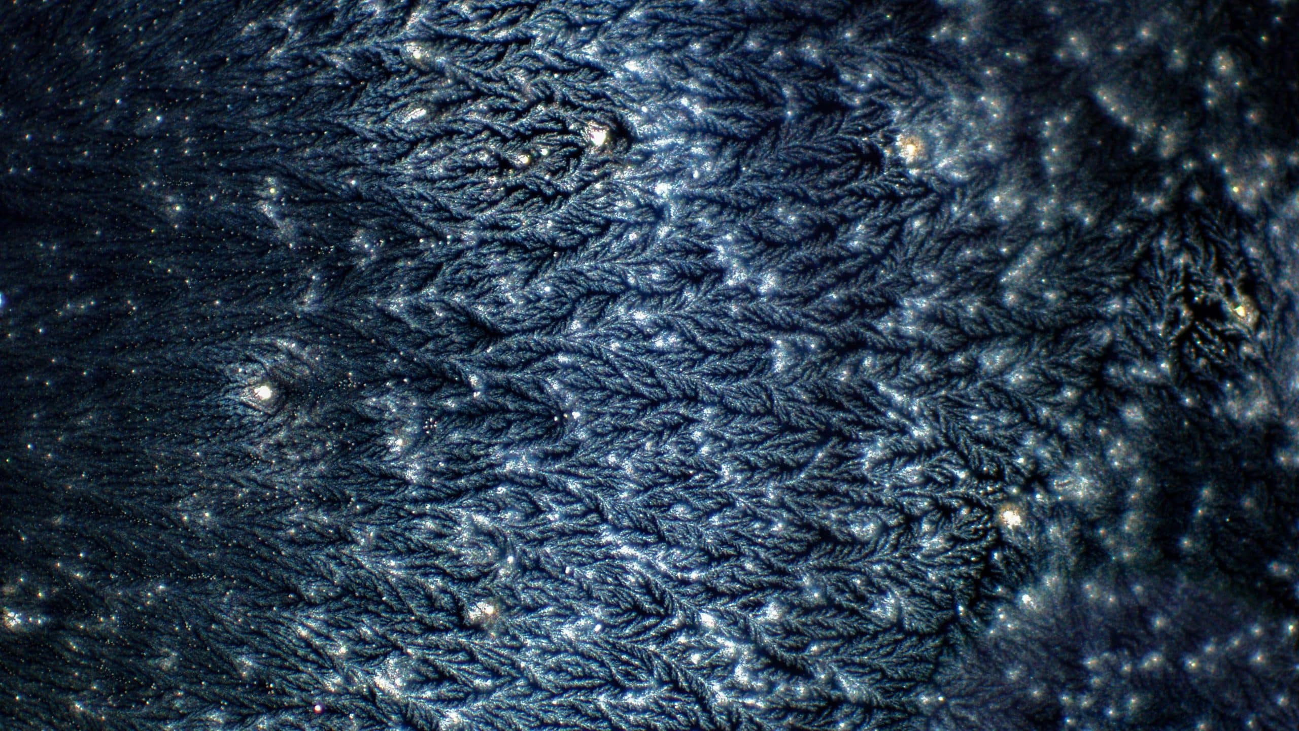 A microscopic view of salt crystals in soft dark blue light.