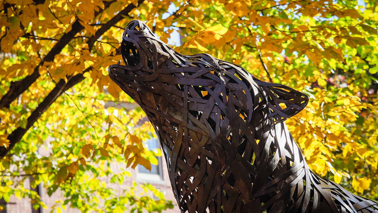 Bronze wolf statue profiled against backdrop of yellow autumn leaves.