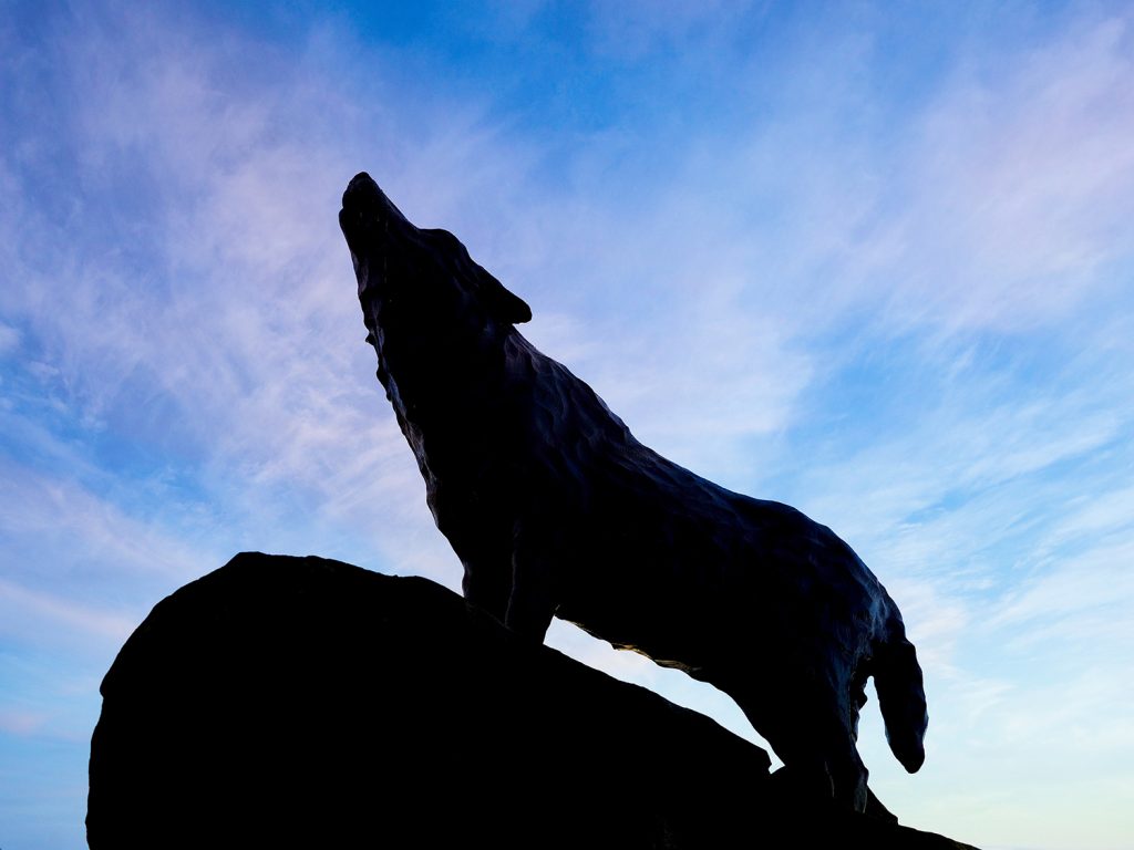 Howling wolf statue silhouetted against a blue sky with light white and purple clouds.