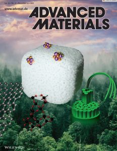 Advanced Materials - 2021 issue cover: illustration of Cellulose‐Based Hybrid Aerogels.