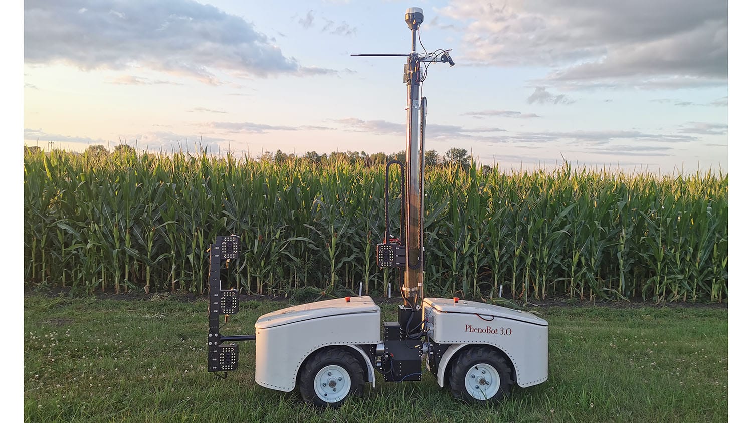 White four-wheeled box-like robot with vertical camera mount in the middle. Robot is in front of a large field of mature corn. A late in the day sunset is behind a partly cloudy sky in the background.