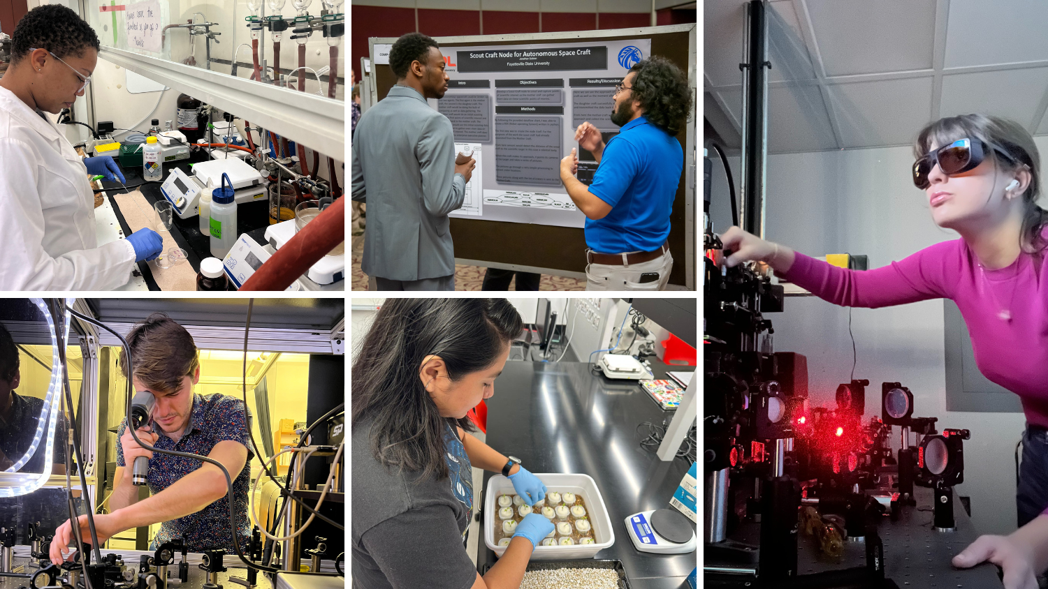 Past Graduate Research Fellows and Undergraduate Research Scholars conducted impressive research in science, technology, engineering, and mathematics (STEM).