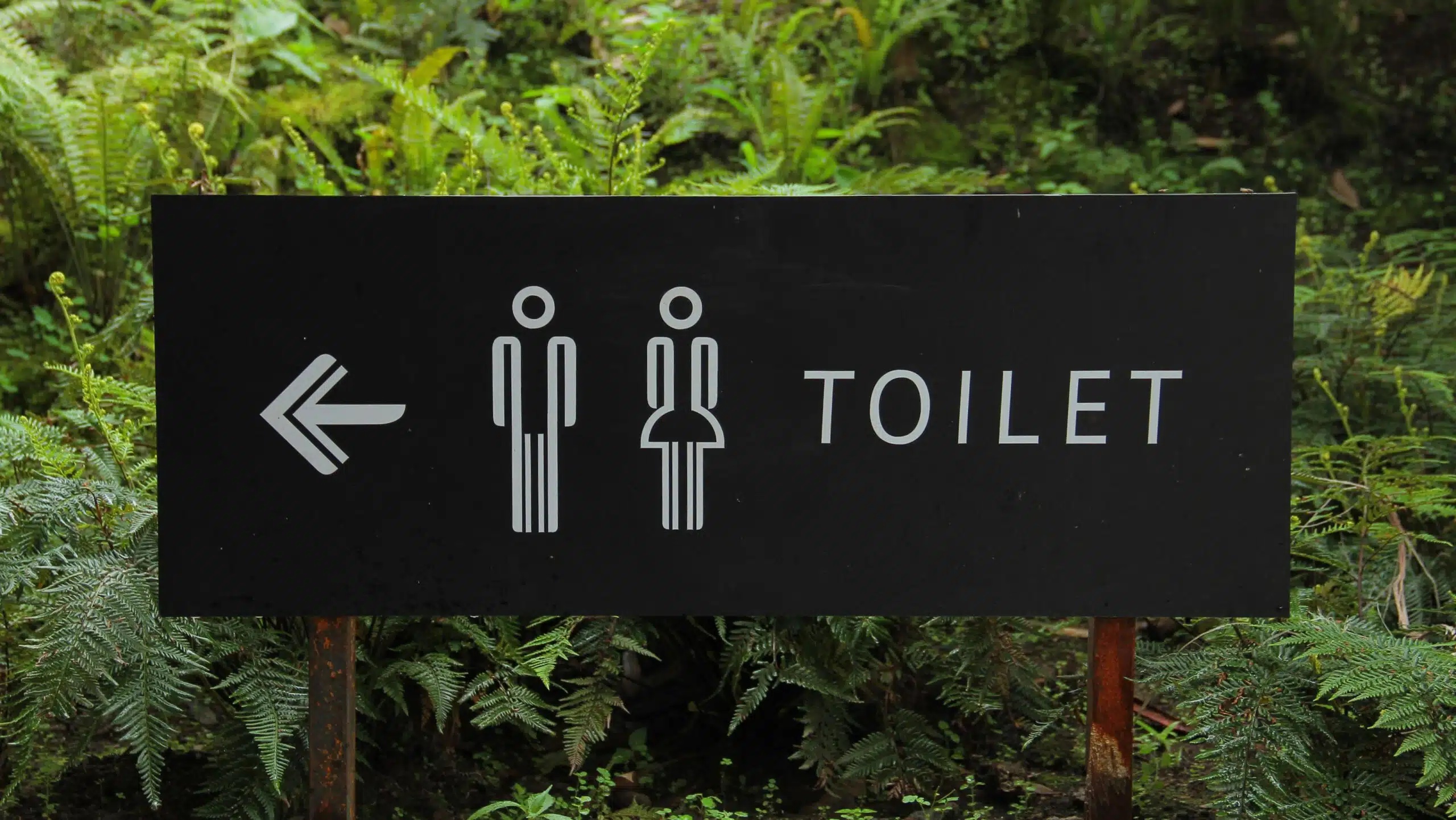 Male and female figures in white outlinet with white text showing Toilet and and a white arrow pointing left on a black background. Green foliage is in the background.