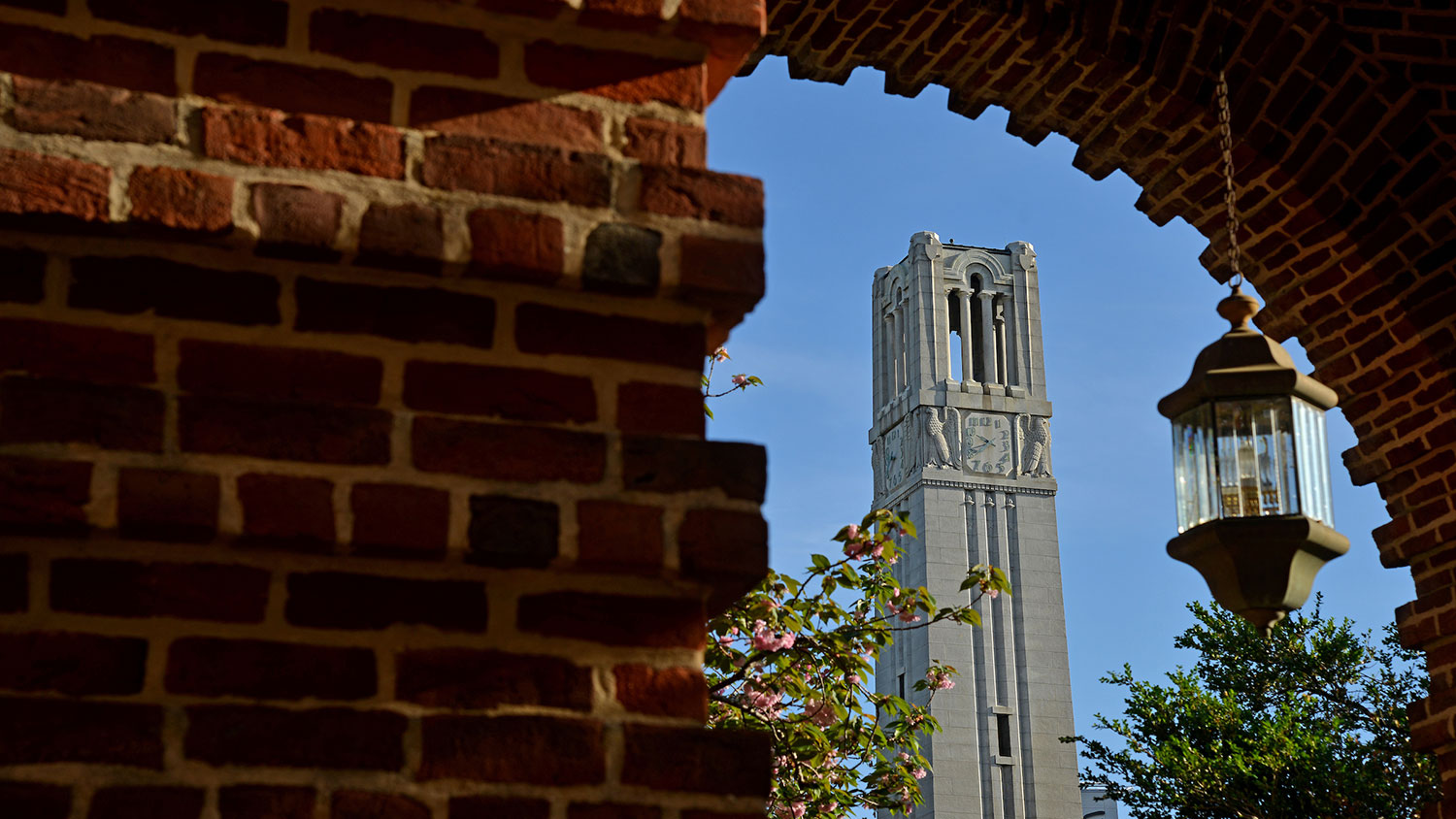 Bell Tower in the spring