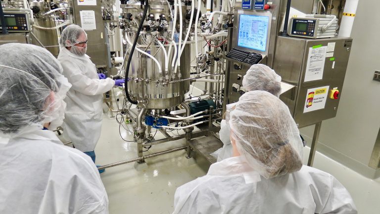 Students learn about microbial fermentation for biopharmaceutical manufacturing in BTEC's large-scale fermentation suite.
